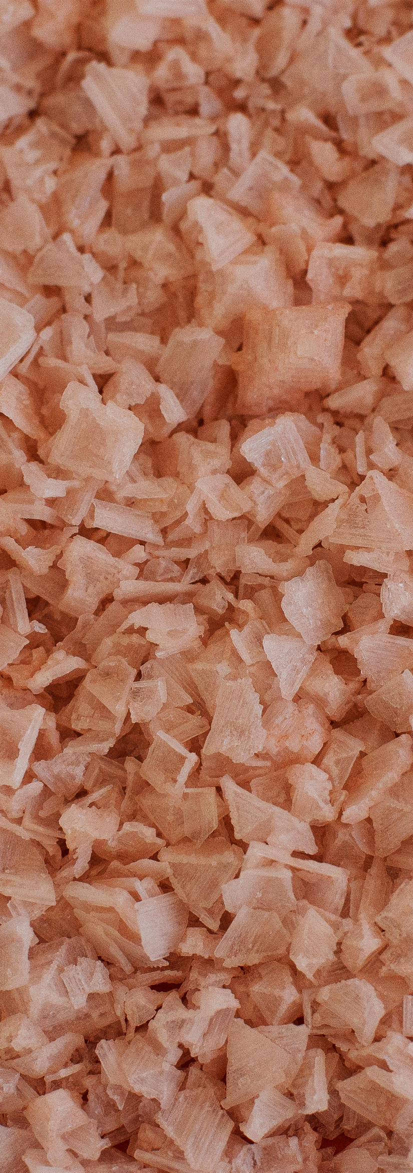Fiocchi di Sale Rosa copia